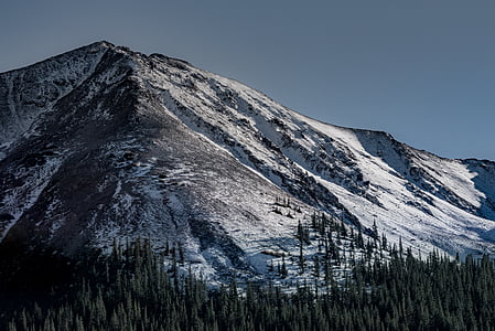 mountain, peak, filled, snow, surrounded, trees, daytime