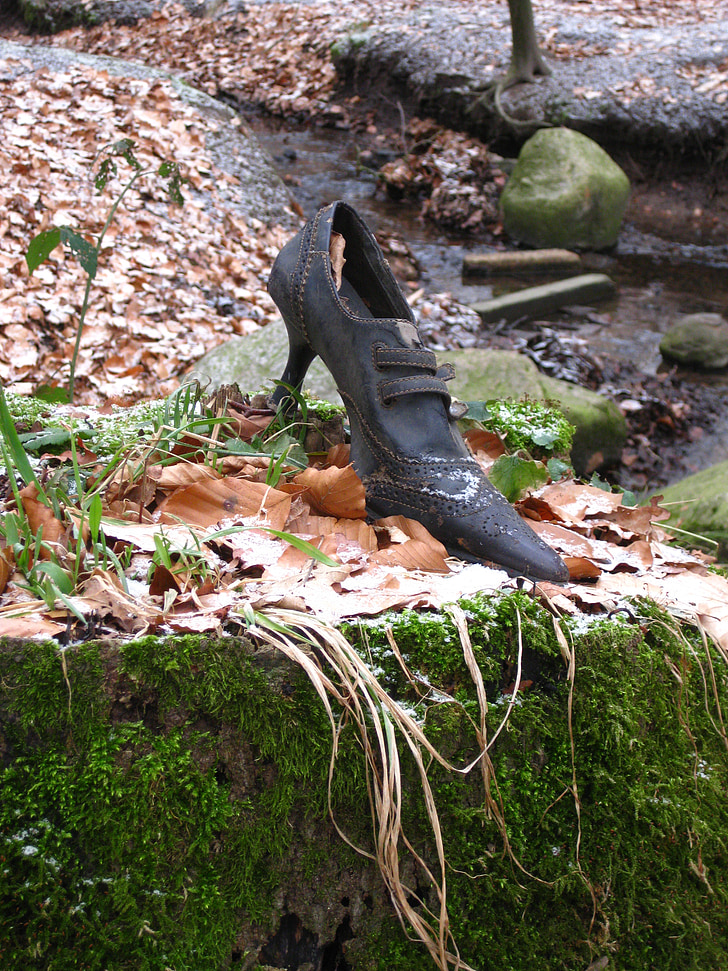 shoe, old, leaves, moss
