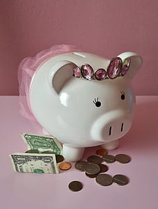 porc, purceluş, roz, economii, salva, bani, monede