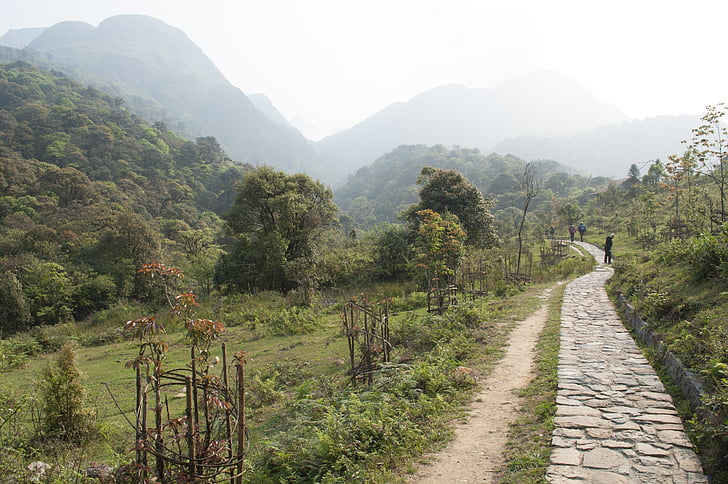 Vietnam, sendero, naturaleza