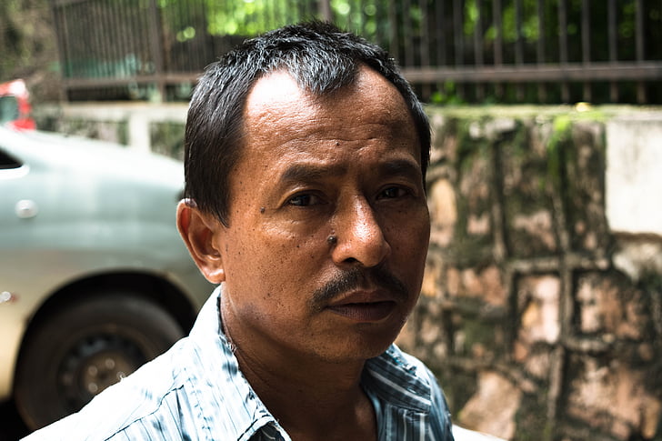 face, man, portrait, human, male