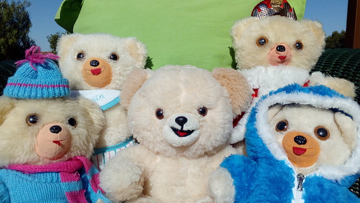 Teddy, Bjørn, gruppe, folk, bamse, leketøy, søt