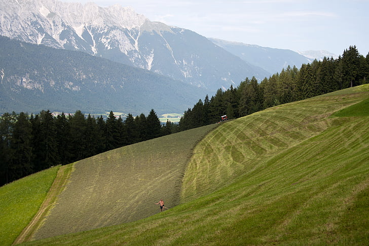 fabrication de foin, champs de montagne, Tulfes, Innsbruck, campagne, paysage, agricole