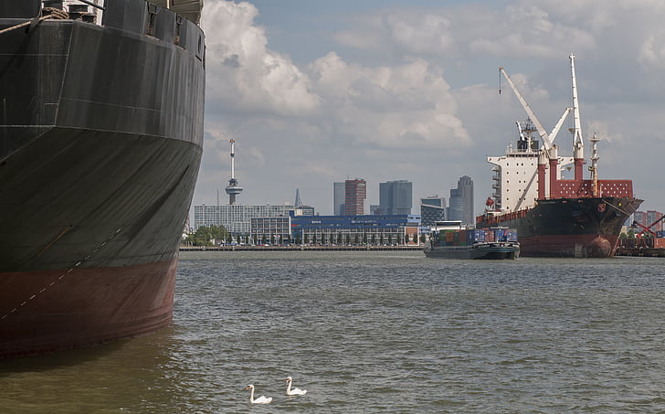 Rotterdam, Puerto, barco, cisne, Skyline, agua
