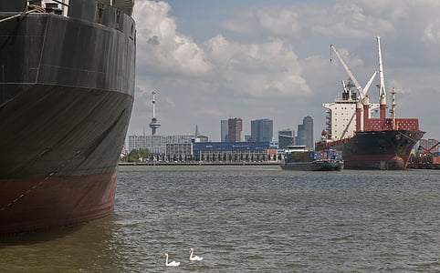 Rotterdam, Port, csónak, hattyú, Skyline, víz