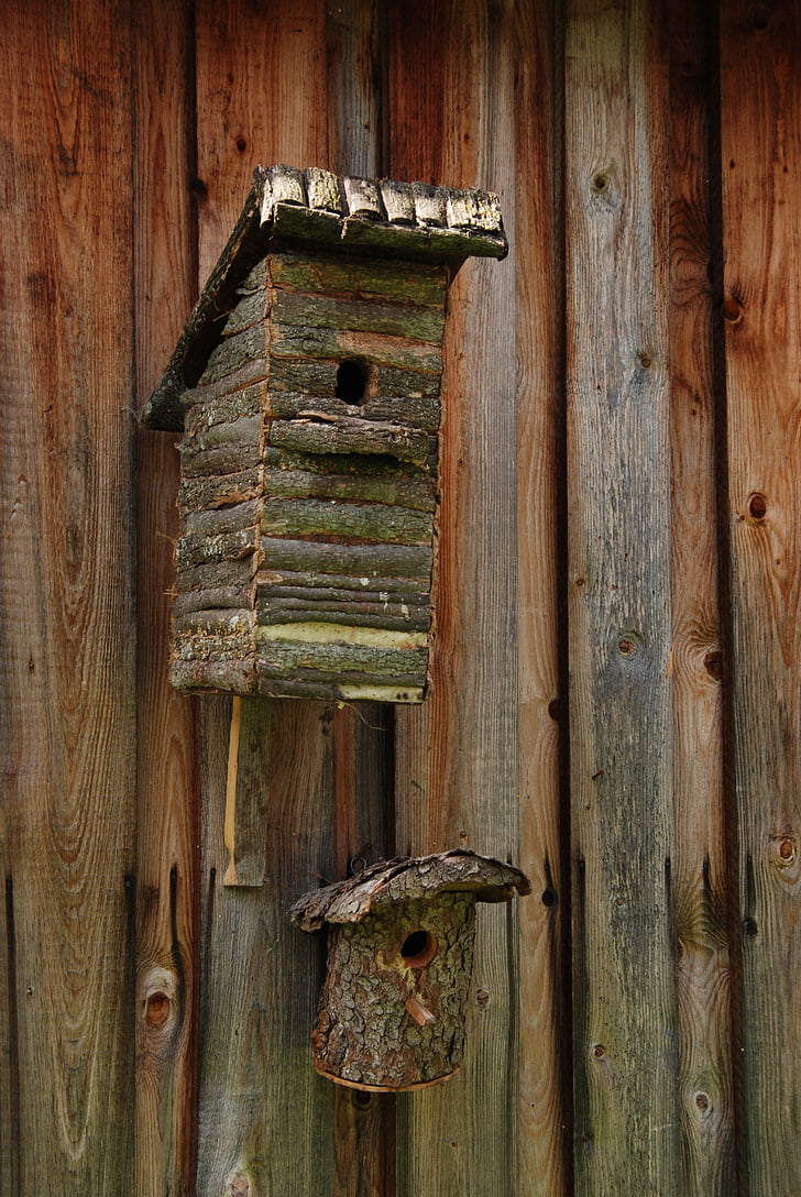 Birdhouse, ocell, niu, fusta, escotilla, Polònia