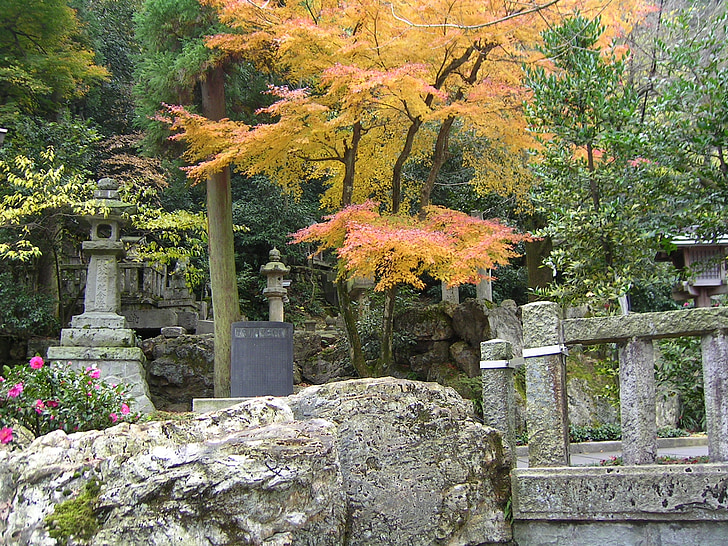 Japonija, rudenį, kraštovaizdžio