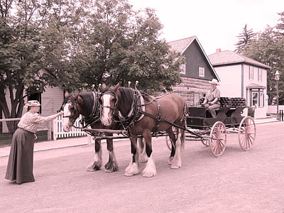 carrello trainato da cavalli, pioniere, vagone, vecchio, carrello, vintage, storico