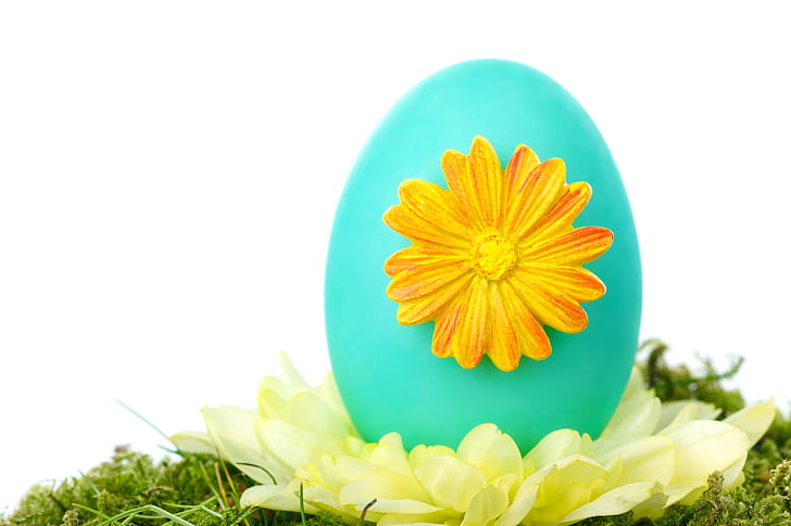 celebración, Color, decoración, decorativo, Semana Santa, huevo, evento