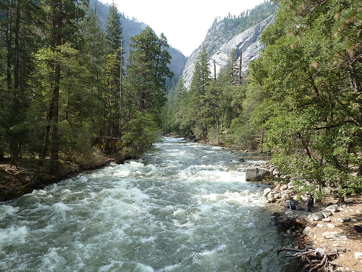 Yosemite, Bergen, Woods, roadtrip, natuur, Park, Californië