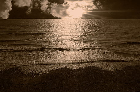 сепия, мне?, океан, Открытый, Солнце, берег, пейзаж