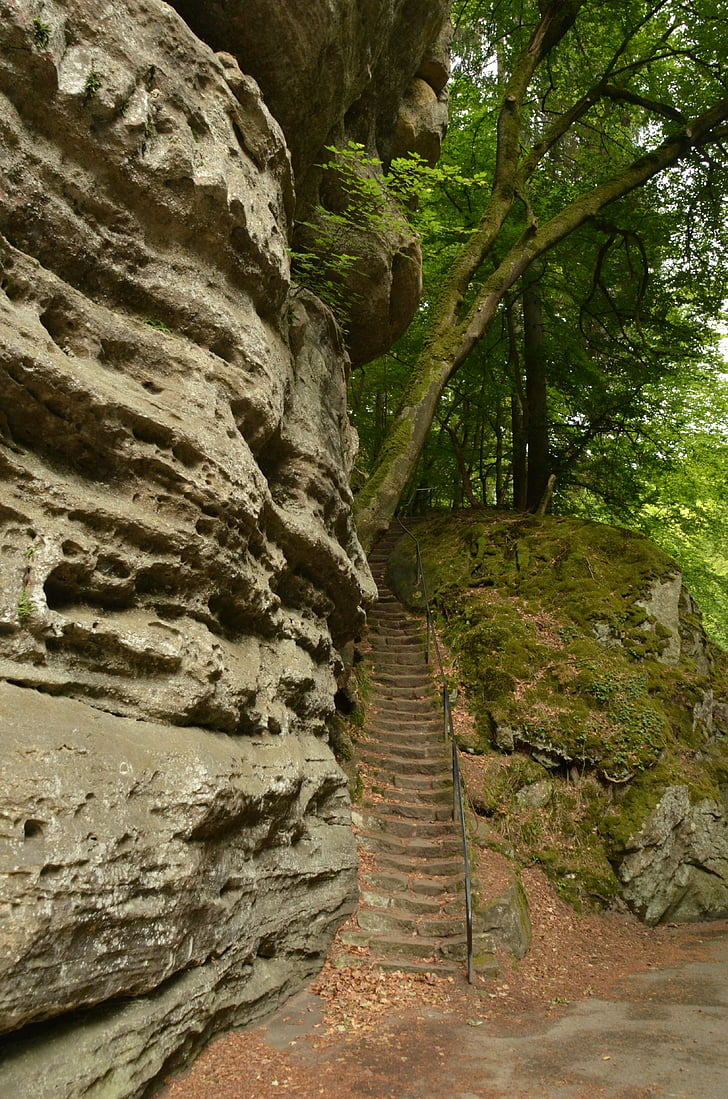 Roca, trampa, bosc, fosc, alçada, verd, Echternach