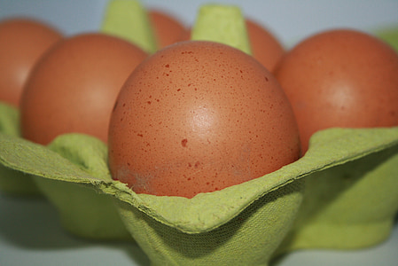 яйце, смачні, hartgekocht, приготовлені, формі яйця, овал