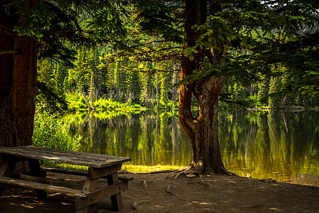 bench, dawn, fall, grass, lake, landscape, leaf