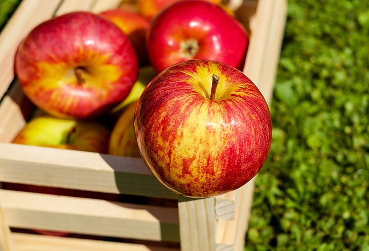 яблоко, красный, фрукты, спелый, урожай, Apple - фрукты, Еда и напитки