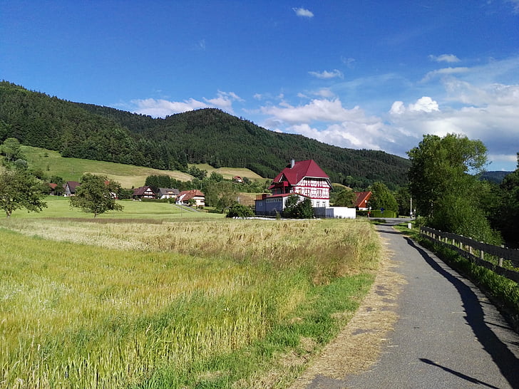 Schwarzwald, Gutach, Landschaft, Wiese