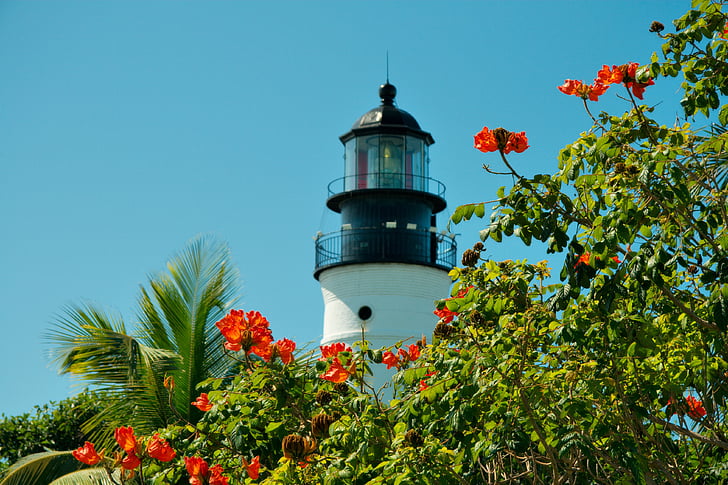 Lighthouse, Florida, nyckel, naturen, key west, tropikerna, växter