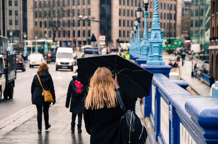 여자, 우산, 비, 거리, 날씨, 여성, 사람들
