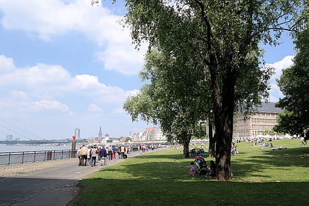 Düsseldorf, Reno, lungomare, città, fiume Reno, passeggiata lungo il Reno, umano