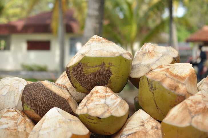 kokosrieksti, kūrorts, alkoholiskajiem dzērieniem