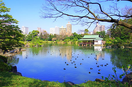 清澄庭園, езеро, Япония, небе, вода, естествени, мълчание