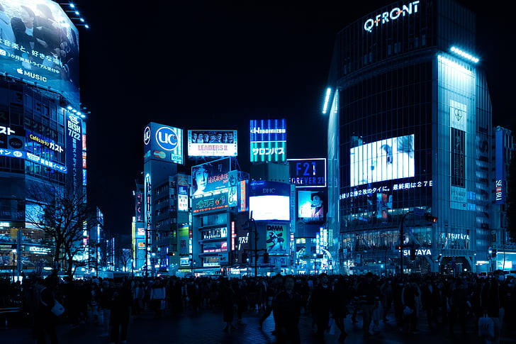 Shibuya, kruising, skyline, nacht, duisternis, glitter, licht