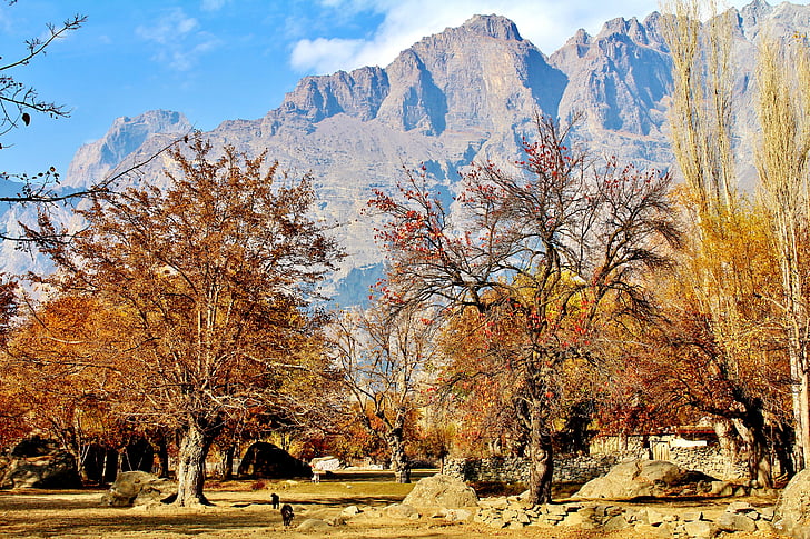 muntanyes, Pakistan, Skardu, arbre, cel, blau, aire