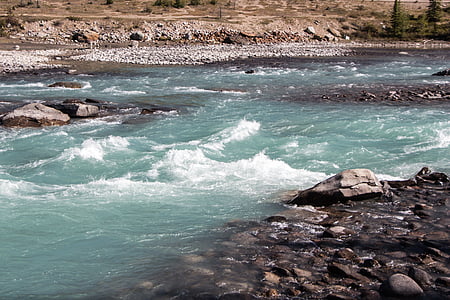 athabasca river, water, rapids, river, national, park, nature