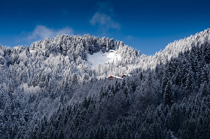 Alpine, Alperne, sne, Remote, vinter, Mountain, træer