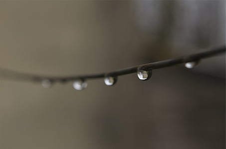 water, droplet, focus, photo, drops, wire, drop
