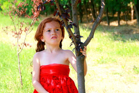jeune fille, rouge, petit chaperon rouge, Forest, histoire, à l’extérieur, nature