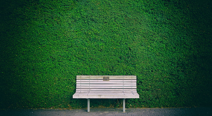 bench, hedge, green, brown, background, wood - Material, nature