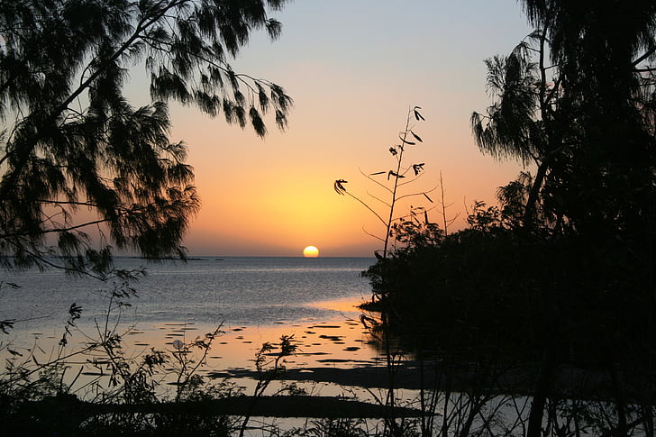 posta de sol, Nova Caledònia, relaxar-se, viatges, sol besa l'aigua, arbres