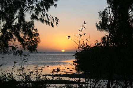 matahari terbenam, Kaledonia Baru, bersantai, perjalanan, matahari ciuman air, pohon