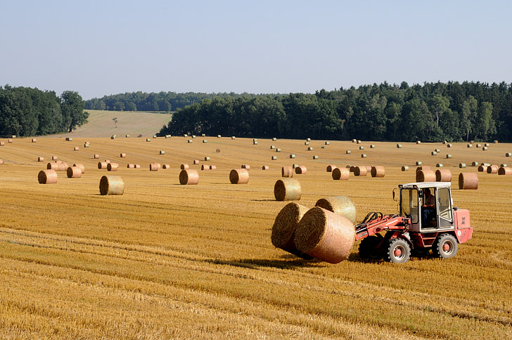 harvest, straw, straw bales, agriculture, field, stubble, harvester
