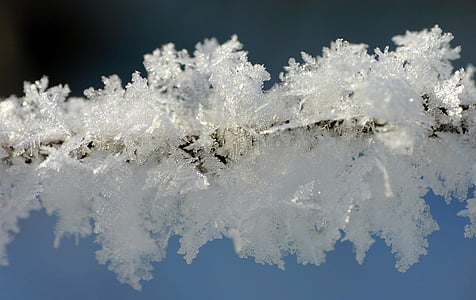 gelo, inverno, hoarfrost, freddo, cristallo di ghiaccio, congelati, ghiacciate