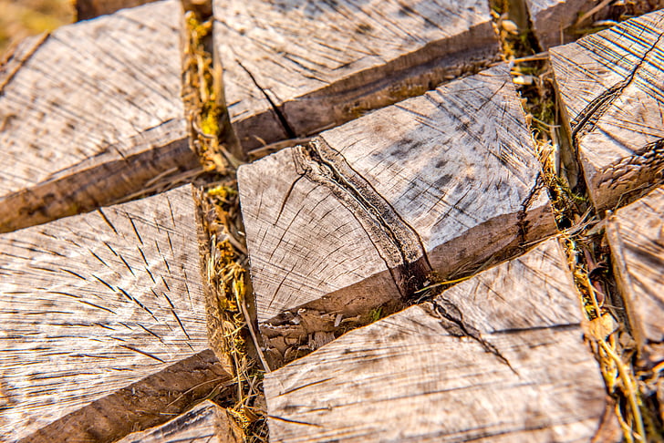 background, brown, district, section, detail, timber, nature