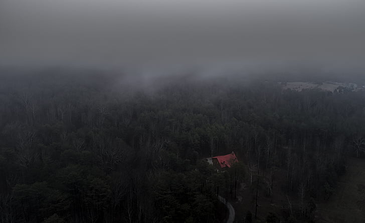 foto, bomen, veel, wolk, bos, huis, mist huis