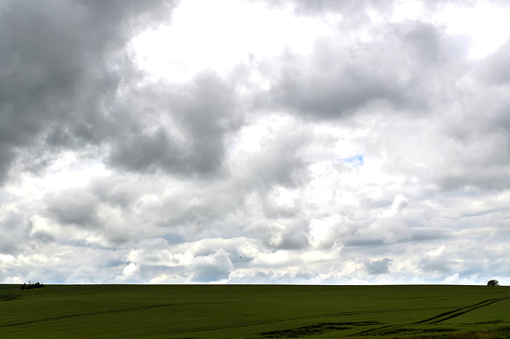 grey clouds, field, nature, wheat, agriculture, cloud, landscape