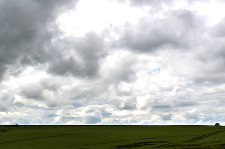 灰色の雲, フィールド, 自然, 小麦, 農業, クラウド, 風景