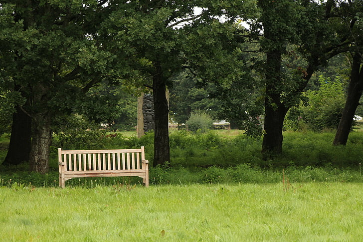 bench, nature, outdoor, summer, peaceful