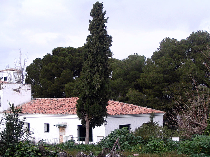 Cypress, landskab, hus, opgivet, forladte bygning