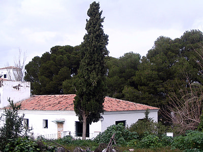 Cypress, landskapet, huset, forlatt, forlatt bygning