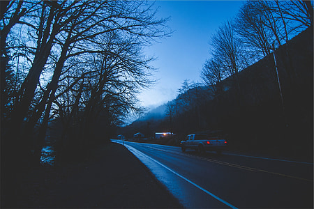 truck, driving, night, road, evening, dark, trees