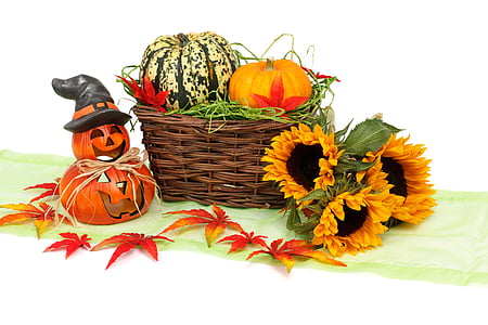 hösten, vit, ljus, dekoration, faller, Halloween, skörd