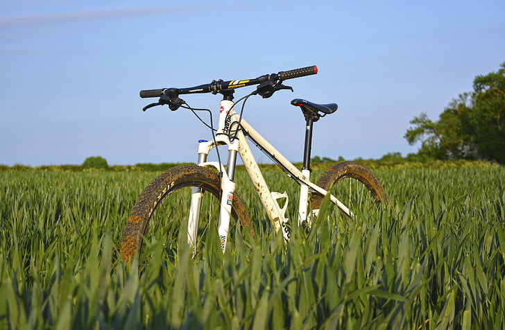bicikl, bicikala, sportski, hobi, zelena, trava, polje