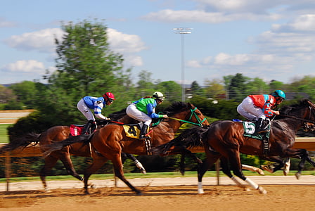 hestevæddeløb, race, Racehorse, magt, hastighed, Equestrian, Racing