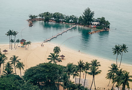 plaj, ada, okyanus, palmiye ağaçları, cennet, Resort, kum