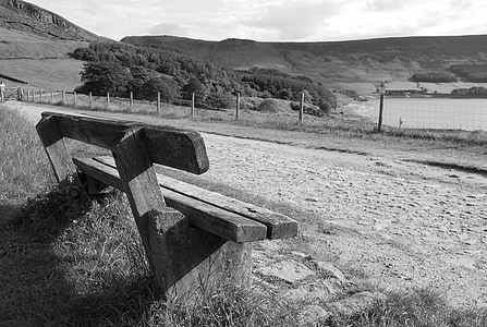 bench, black and white, wood, grass, path, fence, landscape