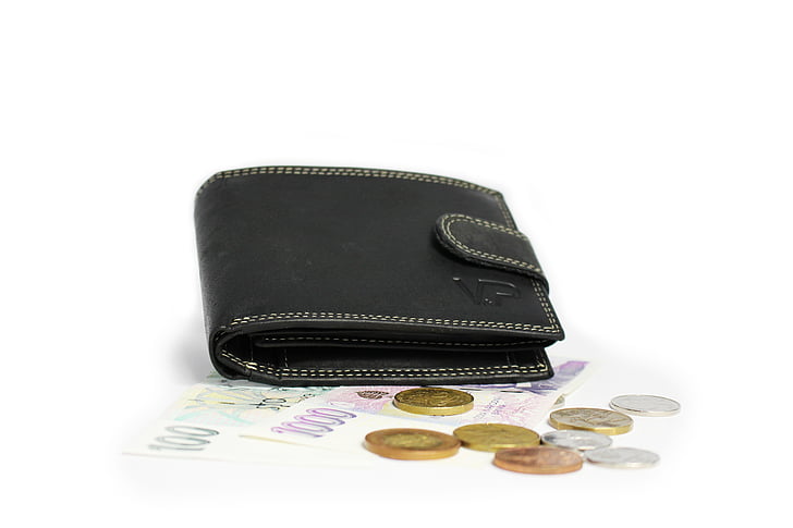 money, wallet, banknotes, leather wallet, coins, finance, business